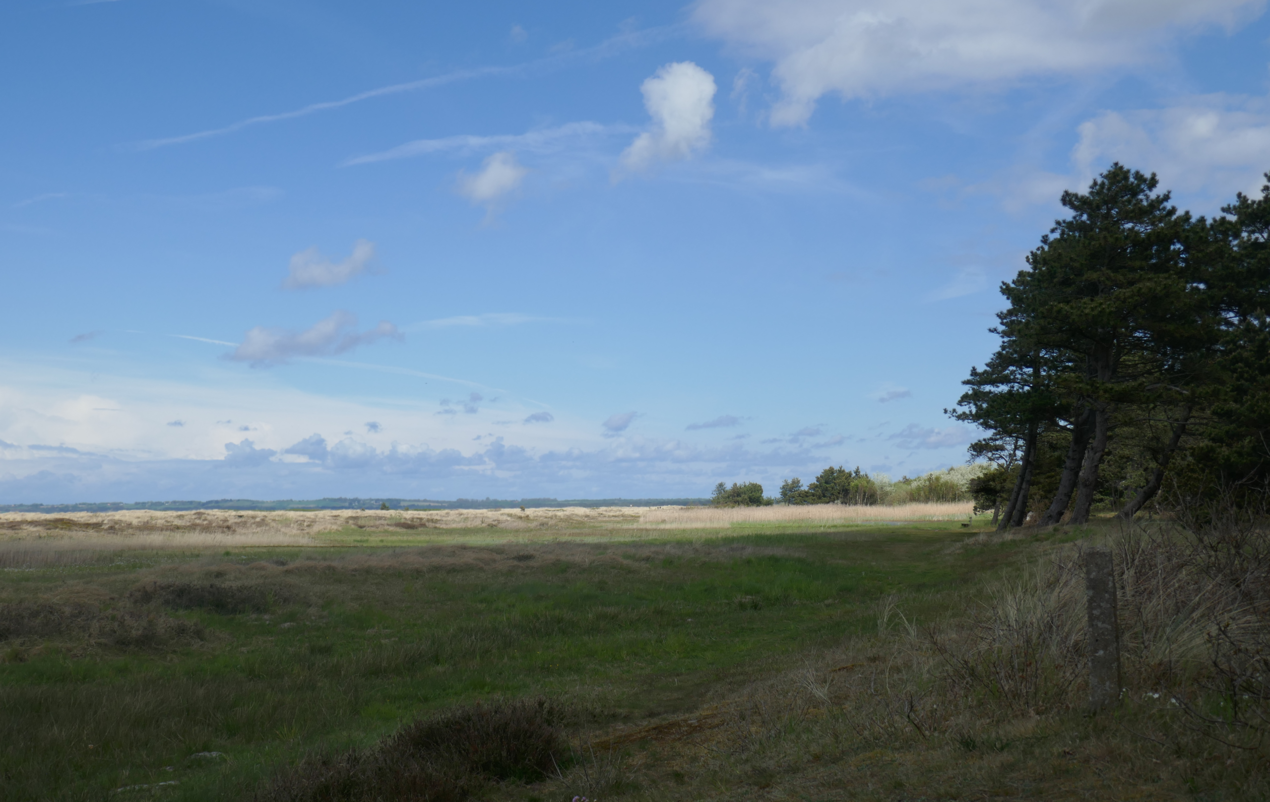 Udsigt fras sommerhuset mod nordøst